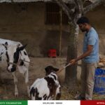 জুলাই শহীদ স্মৃতি ফাউন্ডেশনের পুনর্বাসনে মোহাম্মদ আবদুল আলিমের স্বাবলম্বিতার পথে নতুন যাত্রা