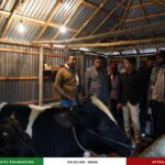 জুলাই শহীদ স্মৃতি ফাউন্ডেশনের পুনর্বাসনে মোঃ মনিরুল ইসলাম স্বাবলম্বিতার পথে নতুন যাত্রা